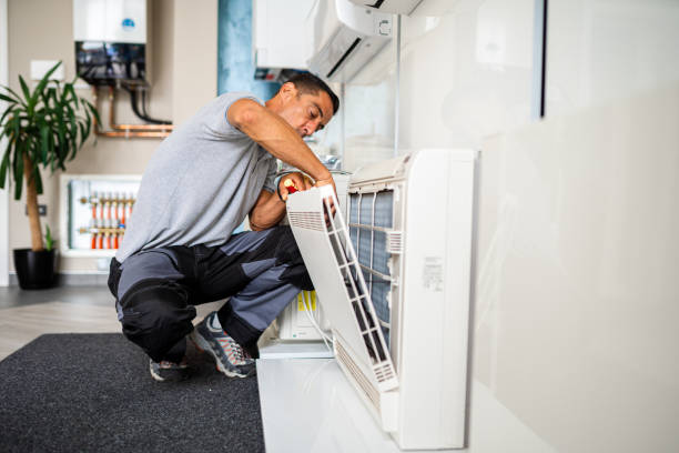 Best Dryer Vent Cleaning Services  in Peotone, IL
