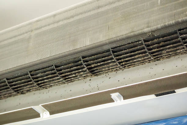 Best HVAC Maintenance and Cleaning  in Peotone, IL